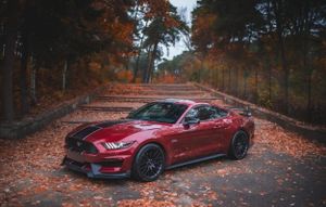 Ford Mustang 5.0 Ti-VCT V8 GT 2015