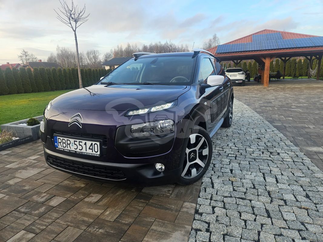 Citroën C4 Cactus PureTech 82 Business Class 2017