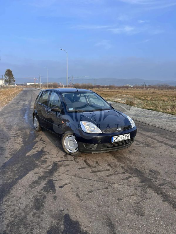 Ford Fiesta Mk6 1.25 FX Silver 2004