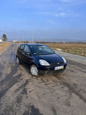 Ford Fiesta Mk6 1.25 FX Silver 2004