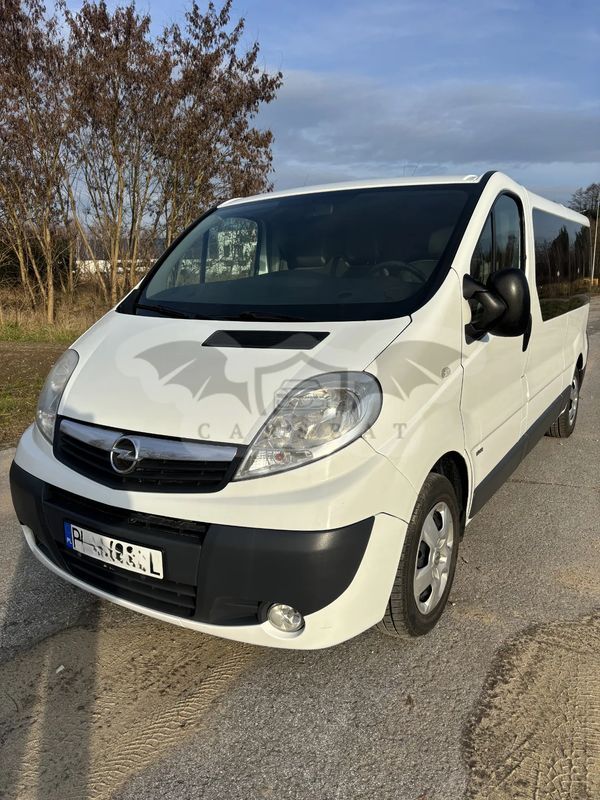 Opel Vivaro I L2H1 2.9t Essentia 2013