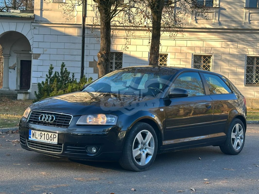 Audi A3 8P 2.0 TDI Ambition 2005