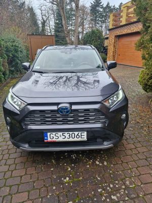 Toyota Rav4 V 2021