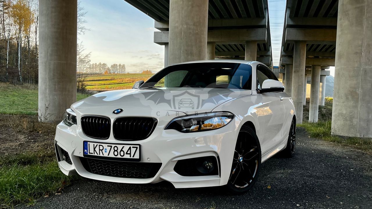 BMW 2 Series 230i M Sport 2017