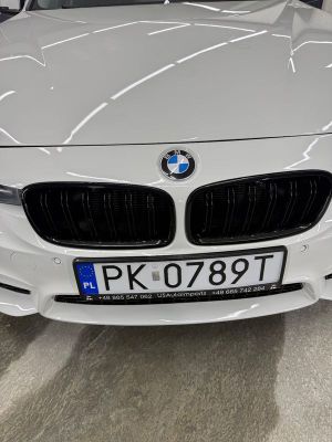 BMW 3 Series F30/F31 320i 2015