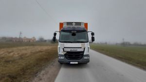 DAF LF 2014