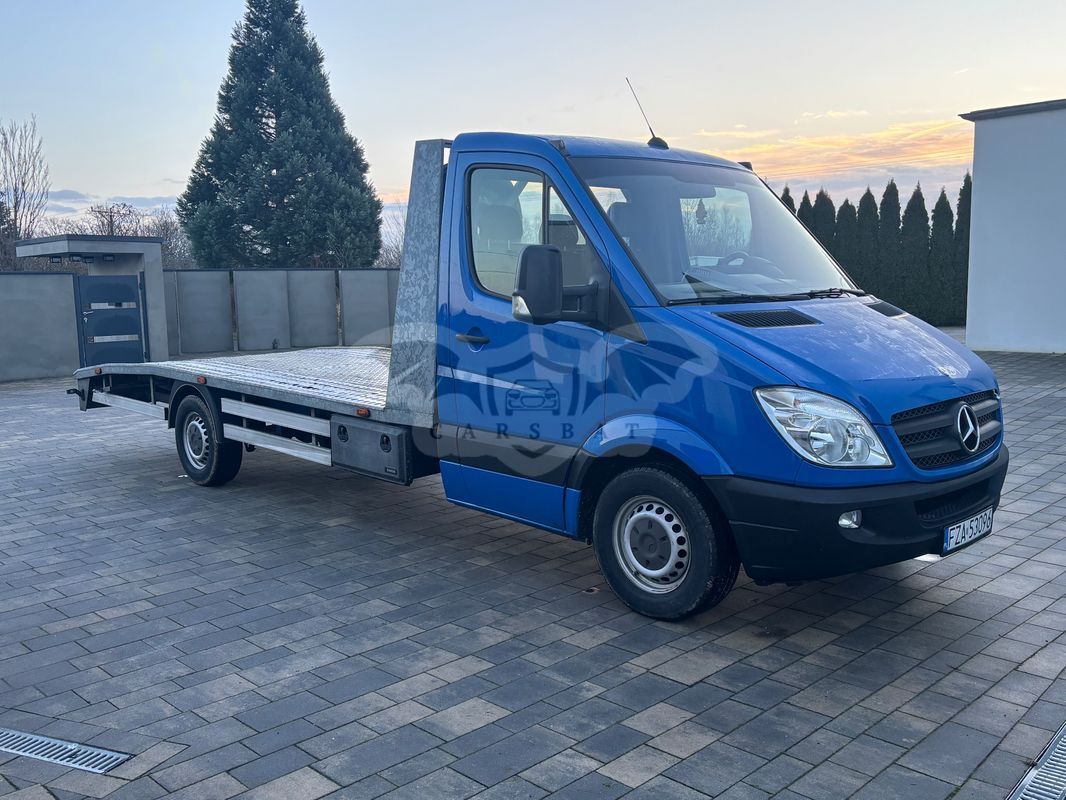 Mercedes-Benz Sprinter 2010
