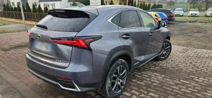 Lexus NX I 300h Executive-Line 2019