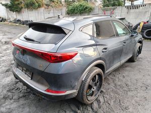 Cupra Formentor VZ 2.0 TSI 4Drive DSG 2024