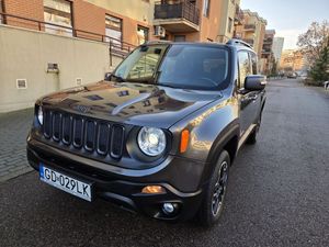 Jeep Renegade 2.0 MultiJet Trailhawk 4WD S&S 2016