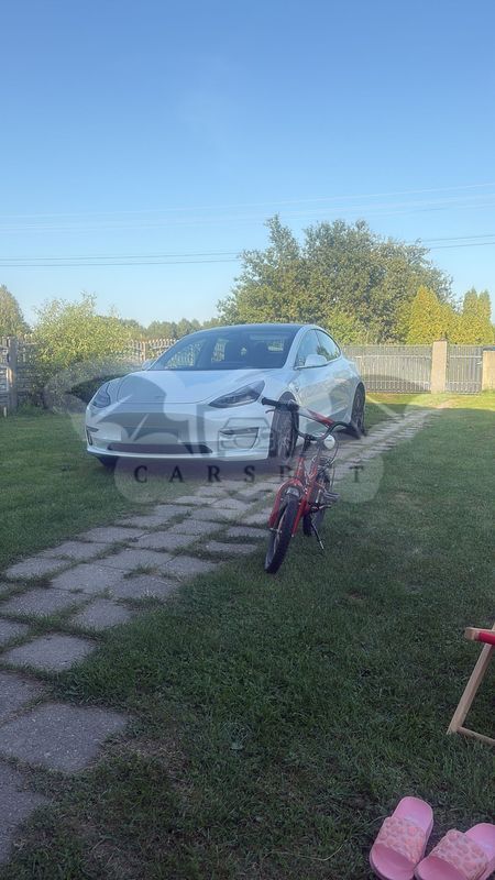 Tesla Model 3 Standard Reichweite Plus Hinterradantrieb 2019