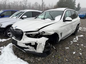 BMW iX3 Impressive 2021