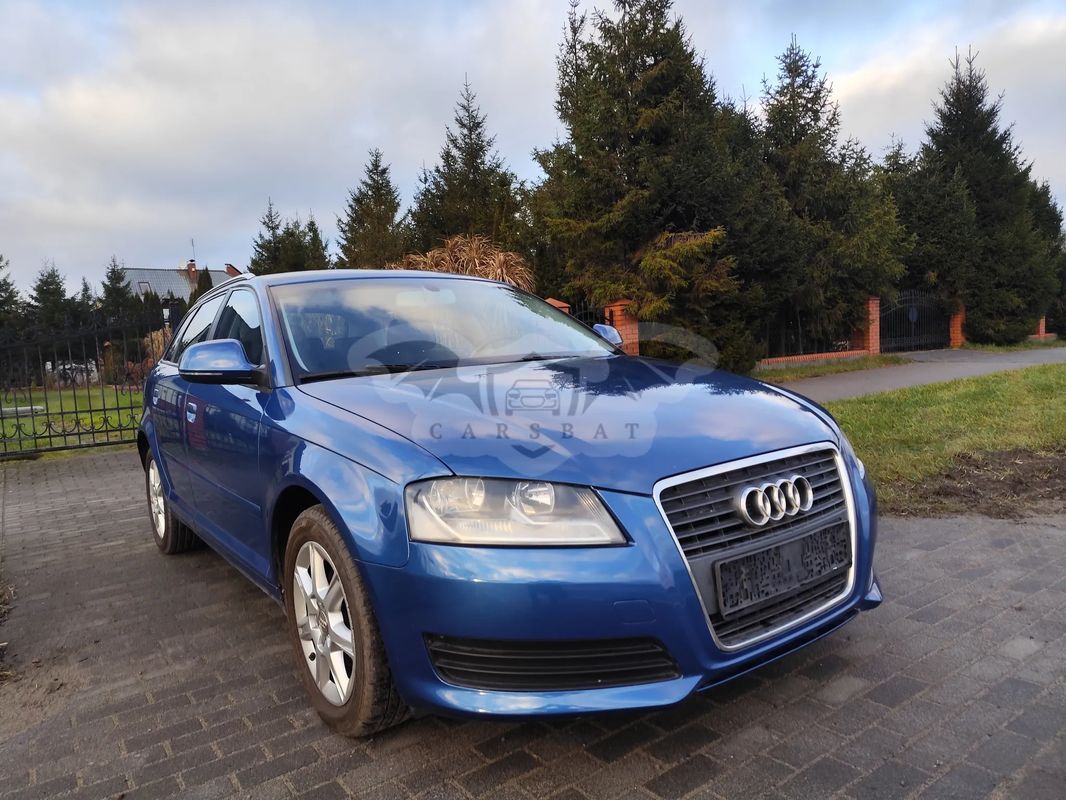 Audi A3 8P 2.0 TDI Ambition 2009