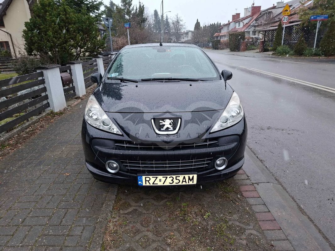 Peugeot 207 2007