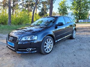 Audi A3 8P 1.6 TDI DPF Ambiente 2013