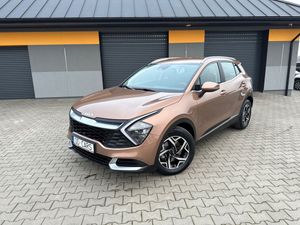 Kia Sportage V 1.6 T-GDI Business Line 2WD 2022