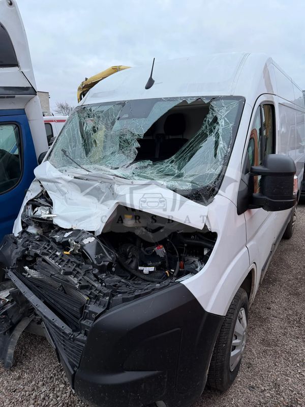Toyota Proace Max 2024