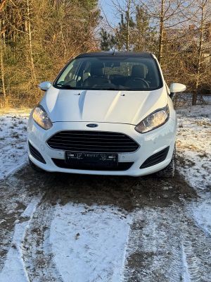 Ford Fiesta Mk7 1.0 EcoBoost Trend EU6 2013
