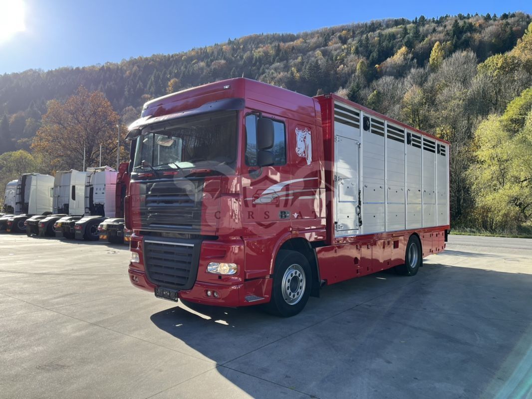 DAF XF 2008