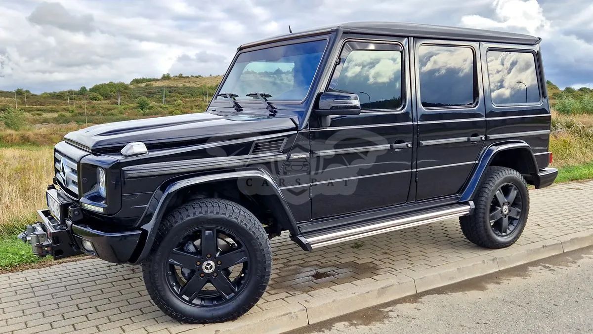 Mercedes-Benz G W463 350 BlueTec 2011