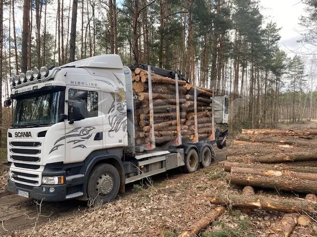 Scania R-series 2014