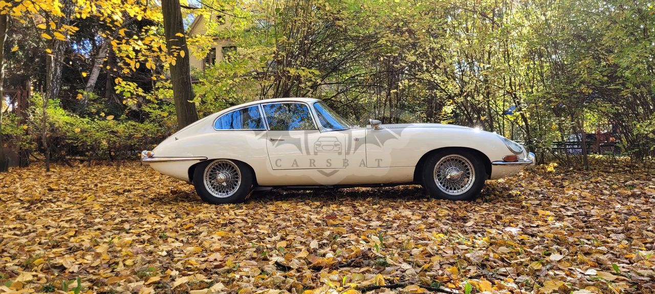 Jaguar E-Type 1965