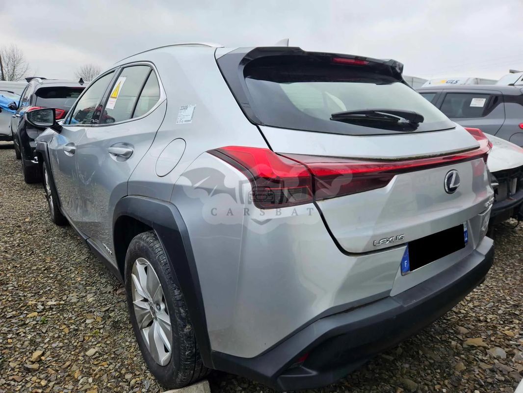Lexus UX 250h (E-FOUR) Luxury Line 2021