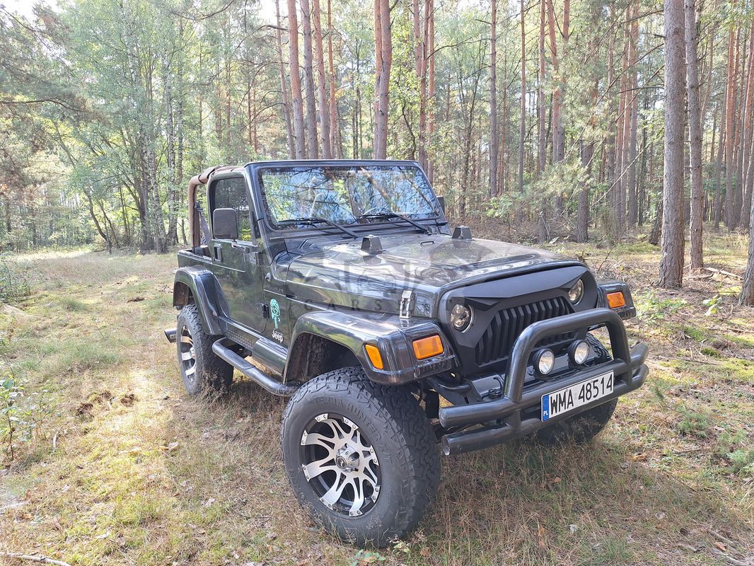 Jeep Wrangler II 4.0 Sahara 2002