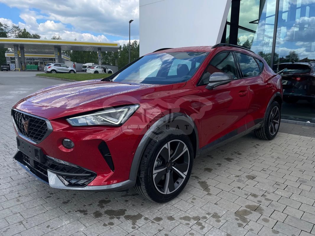 Cupra Formentor 2.0 TSI 4Drive DSG 2024