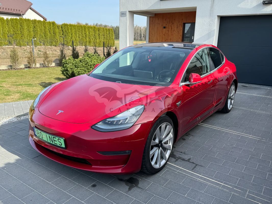 Tesla Model 3 2019