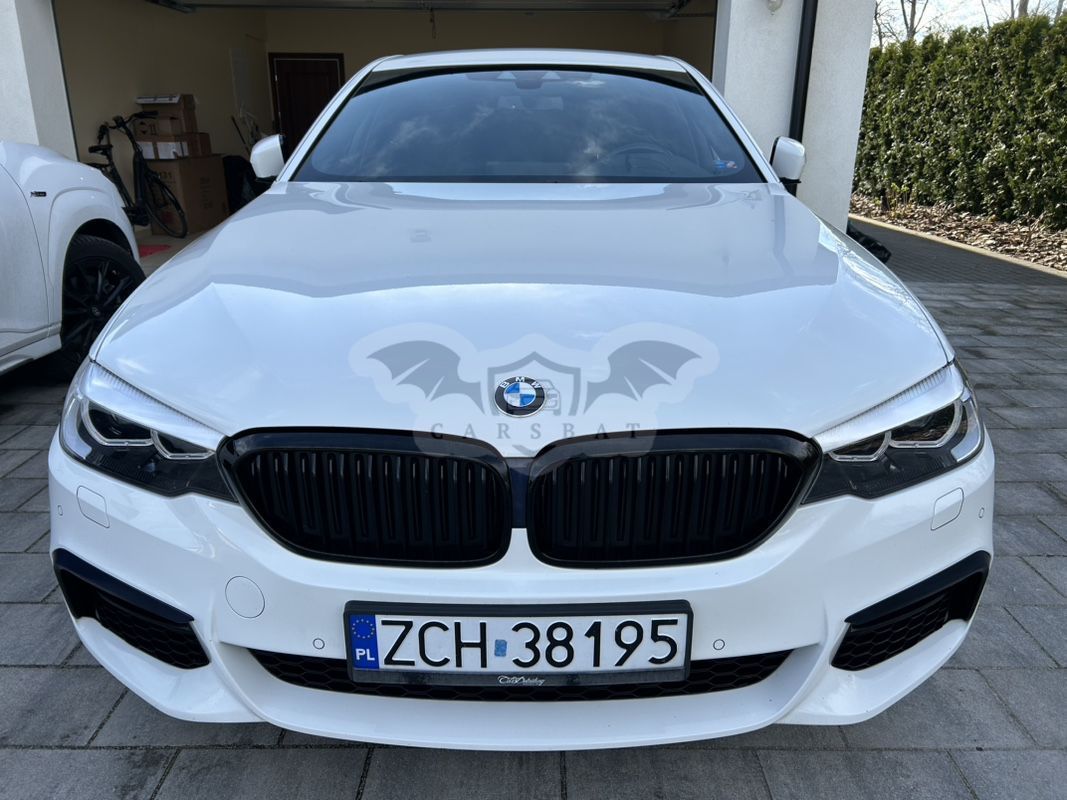 BMW 5 Series G30/G31 520d xDrive MHEV M Sport sport 2019
