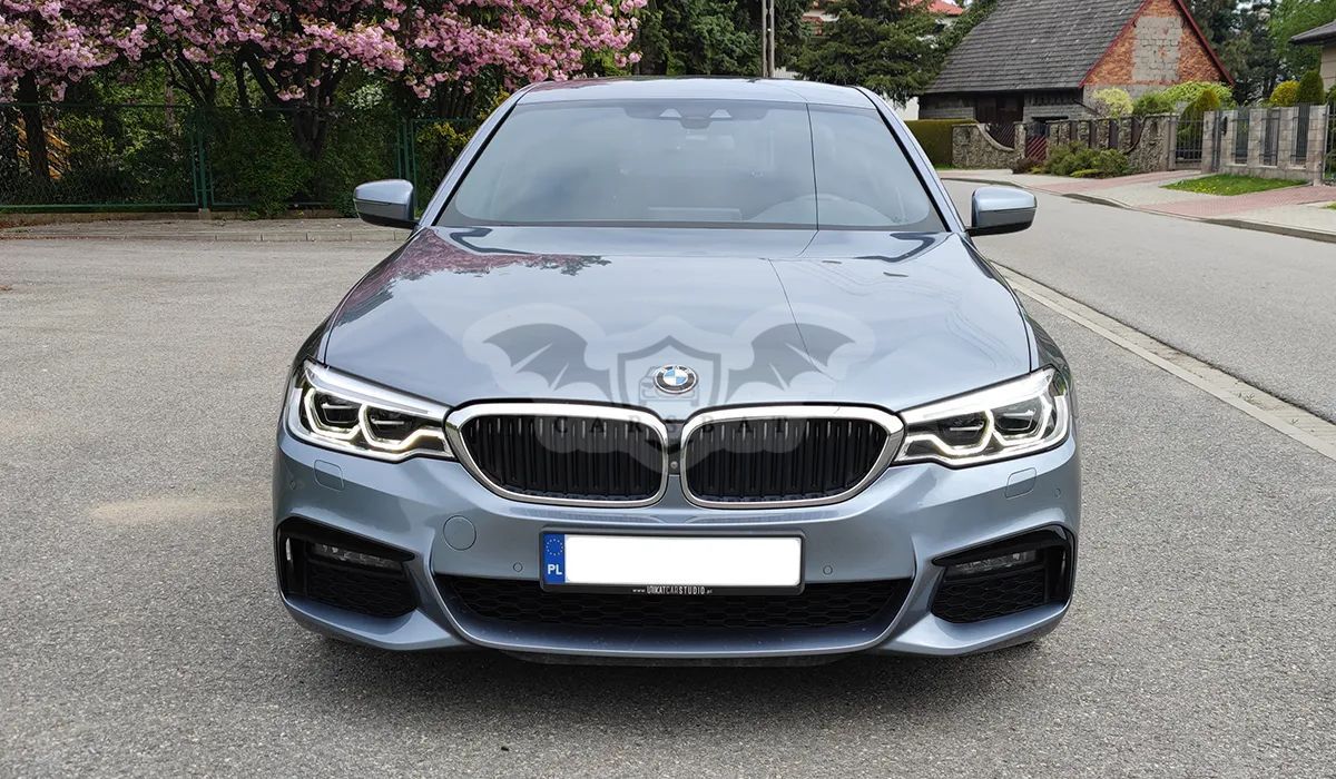 BMW 5 Series G30/G31 530d xDrive 2020