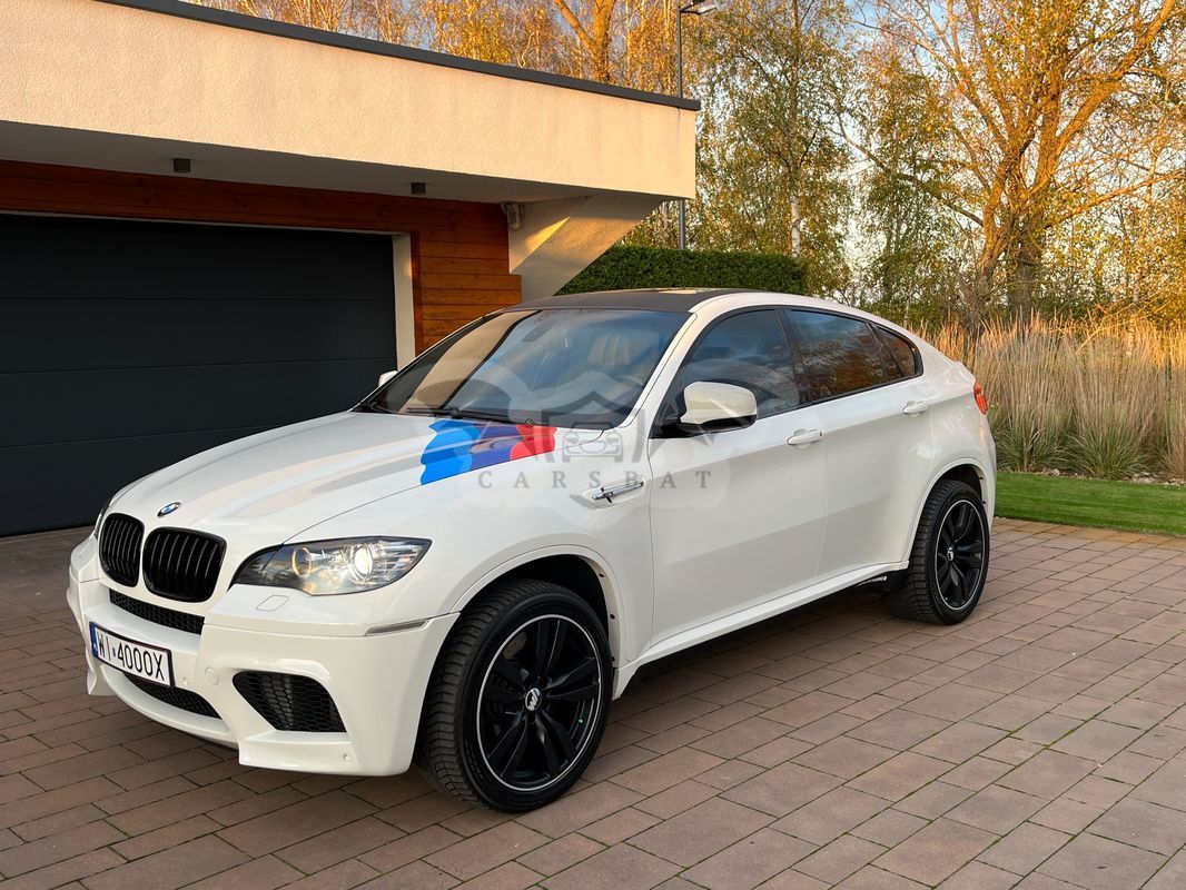 BMW X6 2010