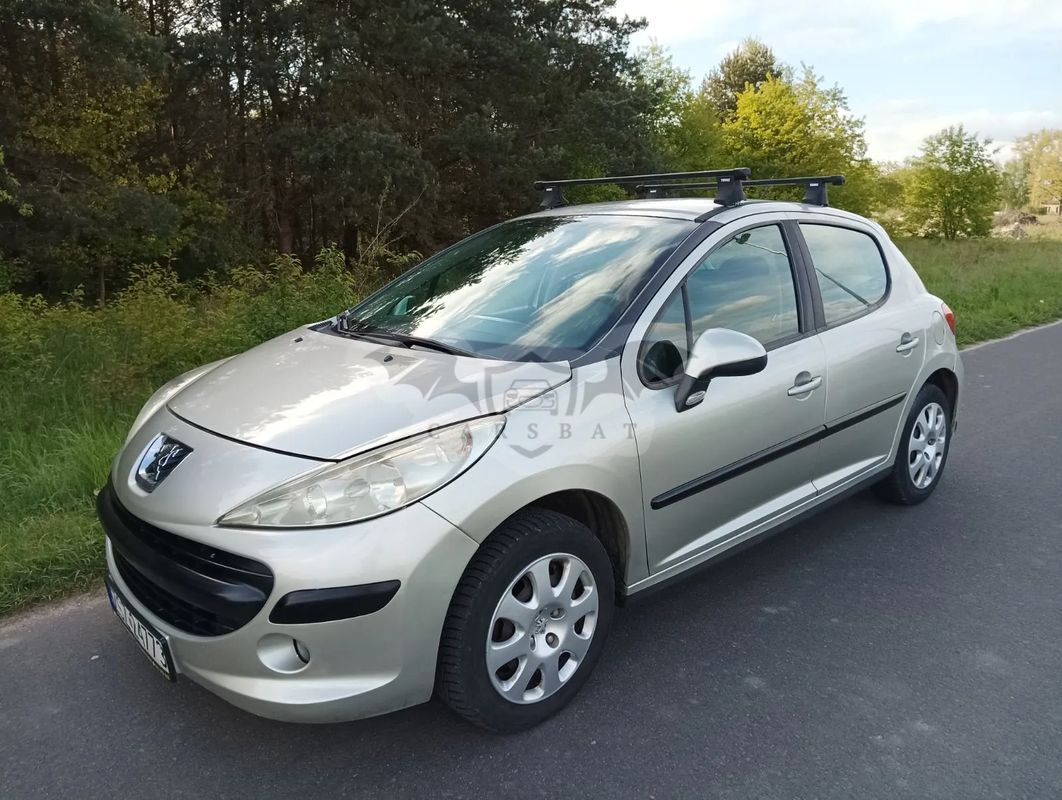 Peugeot 207 2007