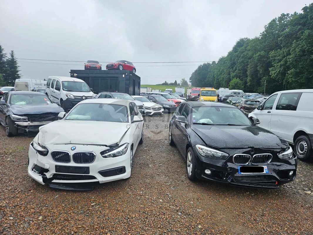 BMW 1 Series F20/F21 116d EfficientDynamics Sport Line 2016