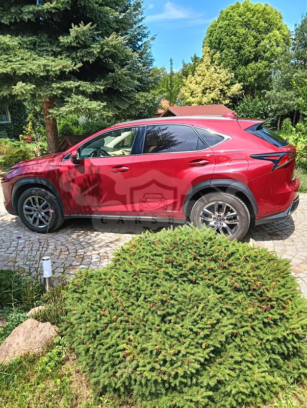 Lexus NX I 2019
