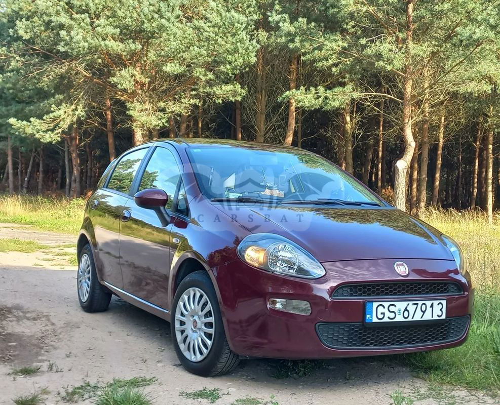 Fiat Punto 2012