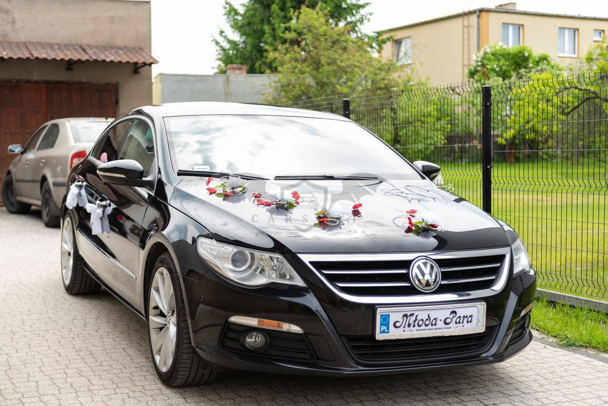 Volkswagen Passat CC 3.6 V6 4Motion DSG 2008