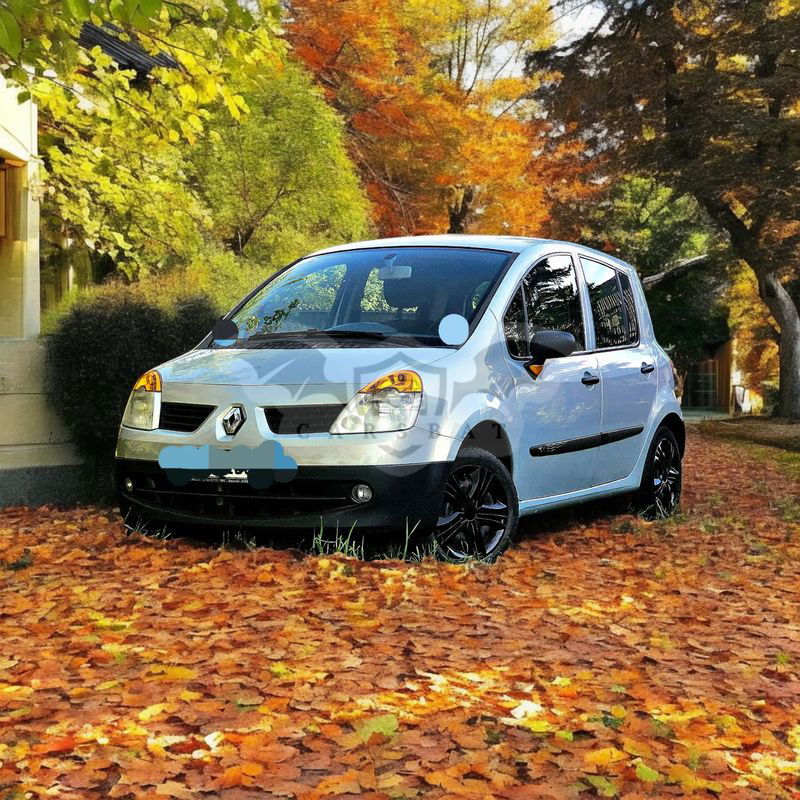 Renault Modus 1.2 16V Dynamique 2005