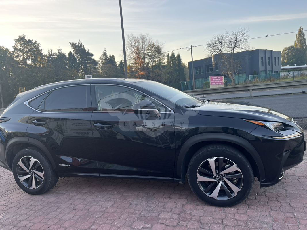 Lexus NX I 300h F Sport Edition AWD 2020