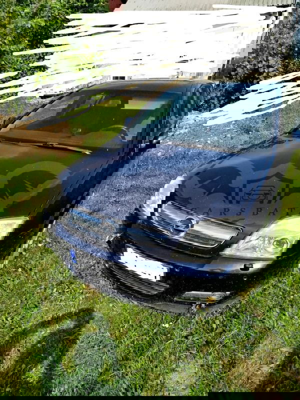 Opel Signum 2003