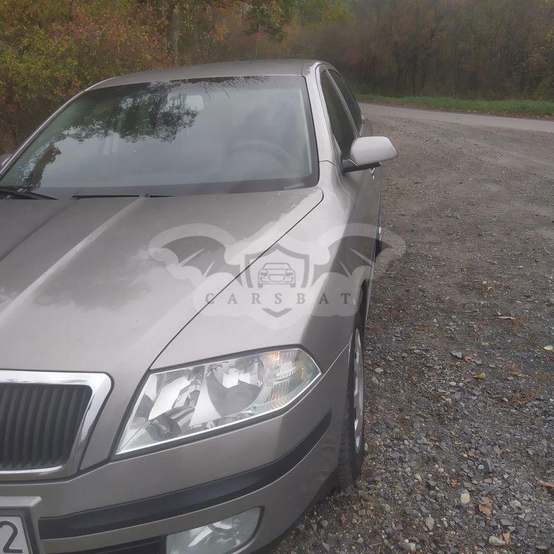 Skoda Octavia II 1.9 TDI Ambiente 2006