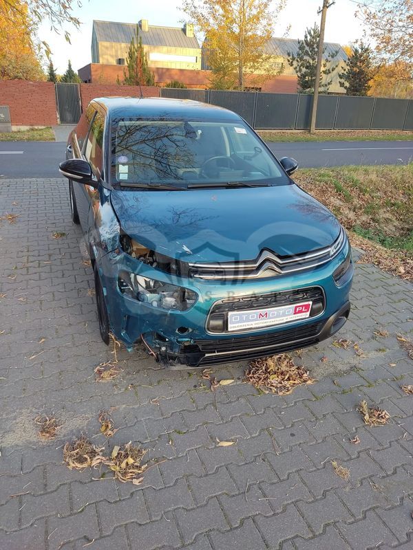 Citroën C4 Cactus 2019