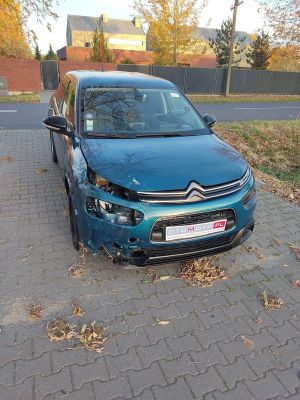 Citroën C4 Cactus 2019