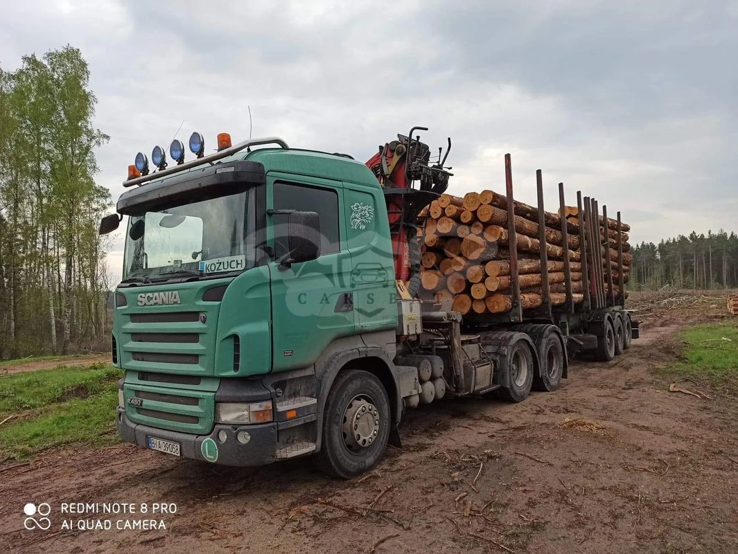 Scania R-series 2008