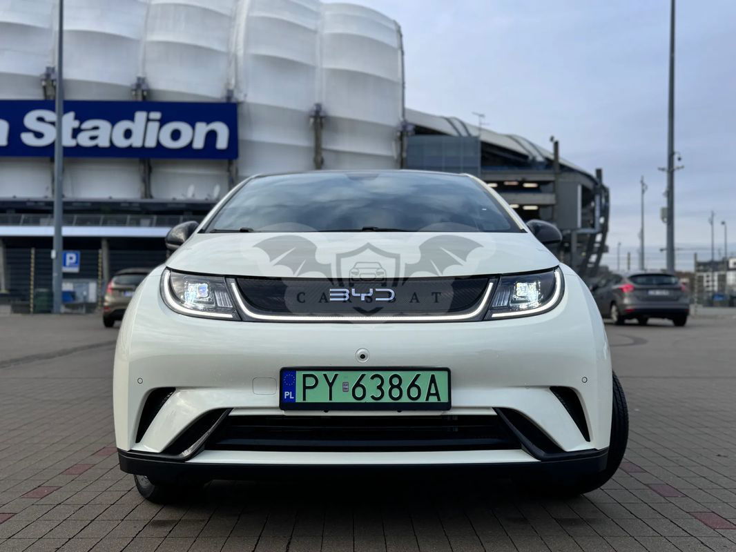 BYD Dolphin Comfort 2024