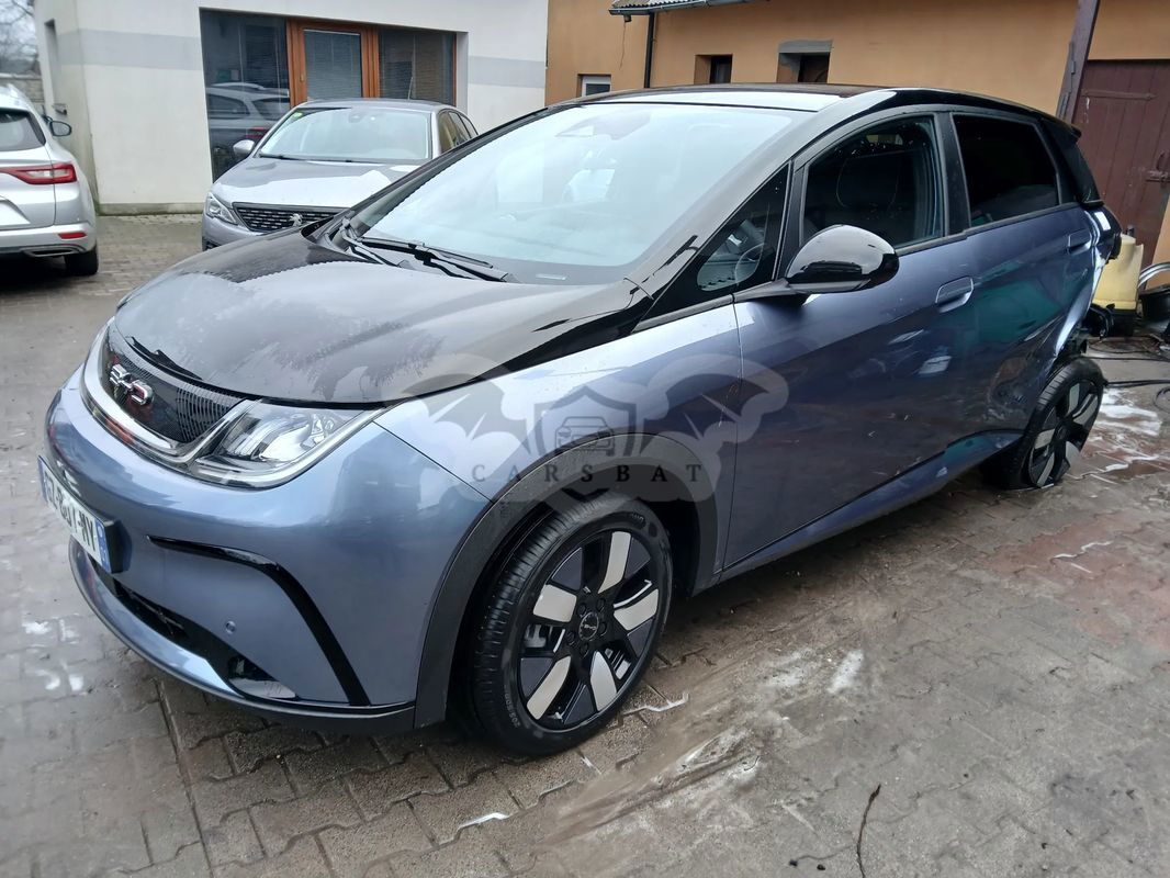 BYD Dolphin Design 2024