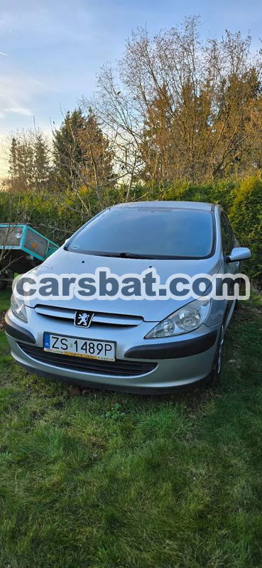 Peugeot 307 I 1.6 XS 2004