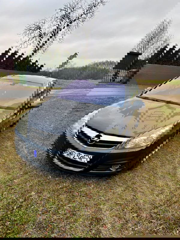 Opel Signum 2008
