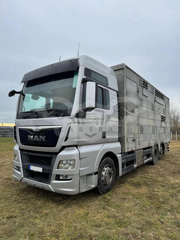 MAN TGX 2015